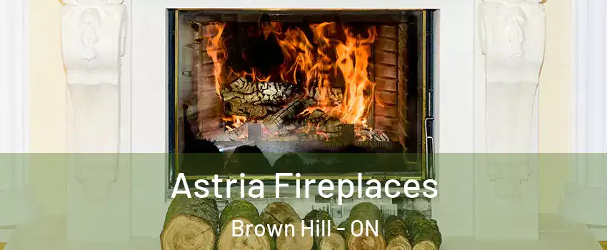  Astria Fireplaces Brown Hill - ON