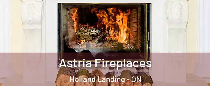  Astria Fireplaces Holland Landing - ON