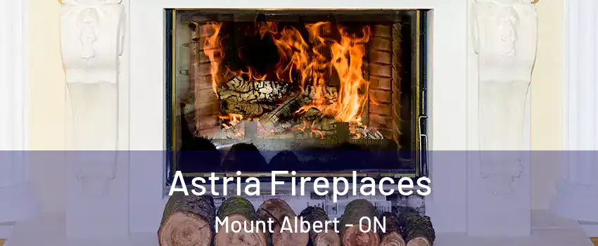  Astria Fireplaces Mount Albert - ON
