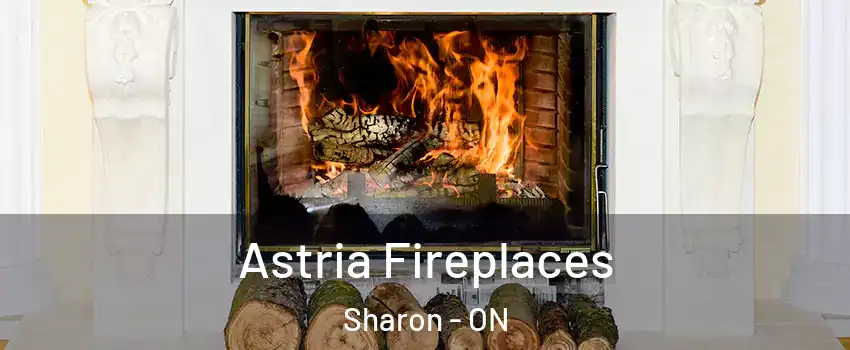  Astria Fireplaces Sharon - ON