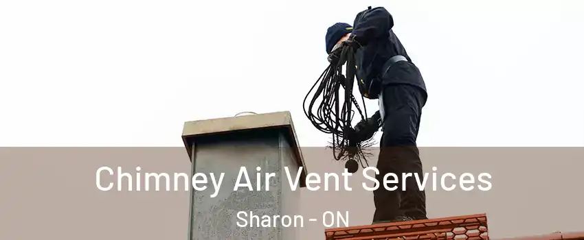  Chimney Air Vent Services Sharon - ON