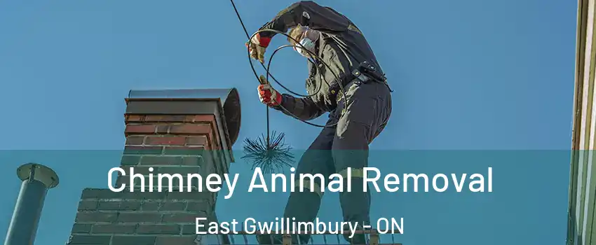 Chimney Animal Removal East Gwillimbury - ON