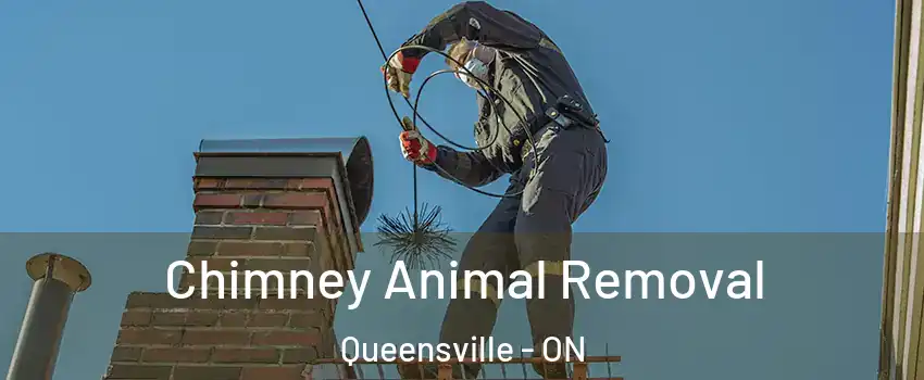 Chimney Animal Removal Queensville - ON
