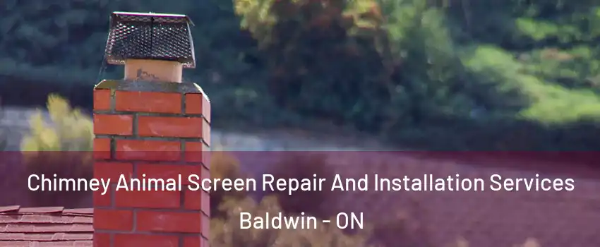  Chimney Animal Screen Repair And Installation Services Baldwin - ON
