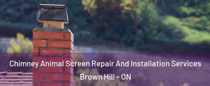  Chimney Animal Screen Repair And Installation Services Brown Hill - ON