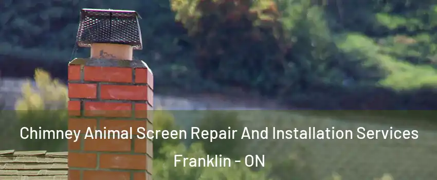  Chimney Animal Screen Repair And Installation Services Franklin - ON