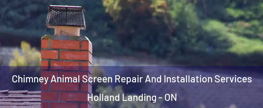  Chimney Animal Screen Repair And Installation Services Holland Landing - ON
