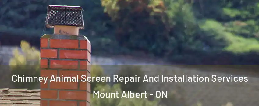  Chimney Animal Screen Repair And Installation Services Mount Albert - ON
