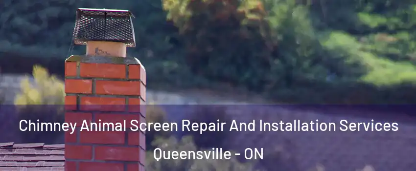 Chimney Animal Screen Repair And Installation Services Queensville - ON