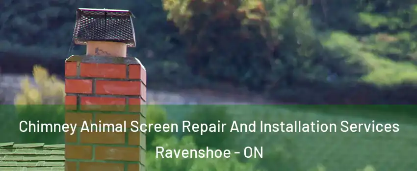  Chimney Animal Screen Repair And Installation Services Ravenshoe - ON