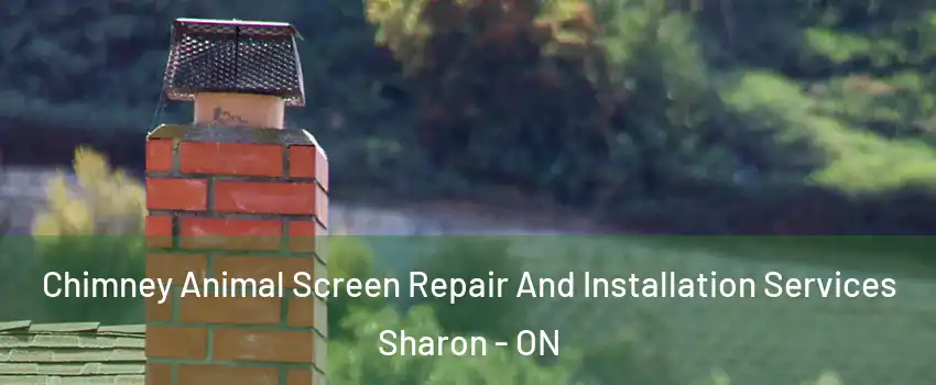  Chimney Animal Screen Repair And Installation Services Sharon - ON