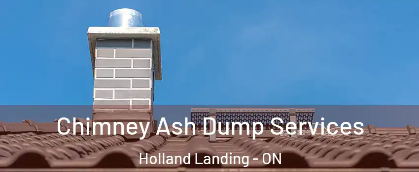  Chimney Ash Dump Services Holland Landing - ON
