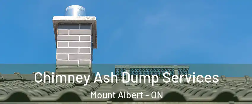  Chimney Ash Dump Services Mount Albert - ON