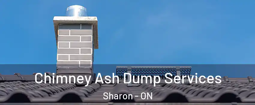  Chimney Ash Dump Services Sharon - ON