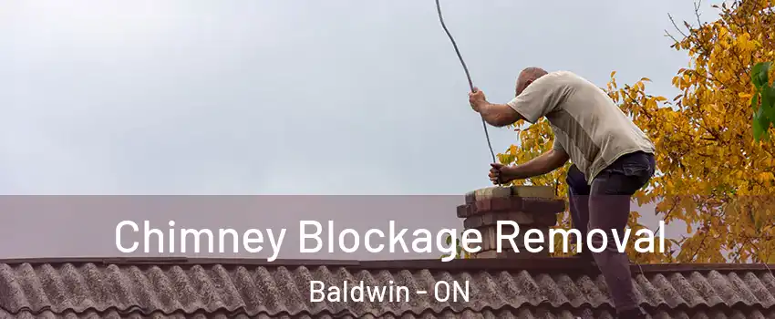  Chimney Blockage Removal Baldwin - ON