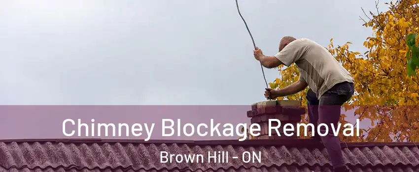  Chimney Blockage Removal Brown Hill - ON