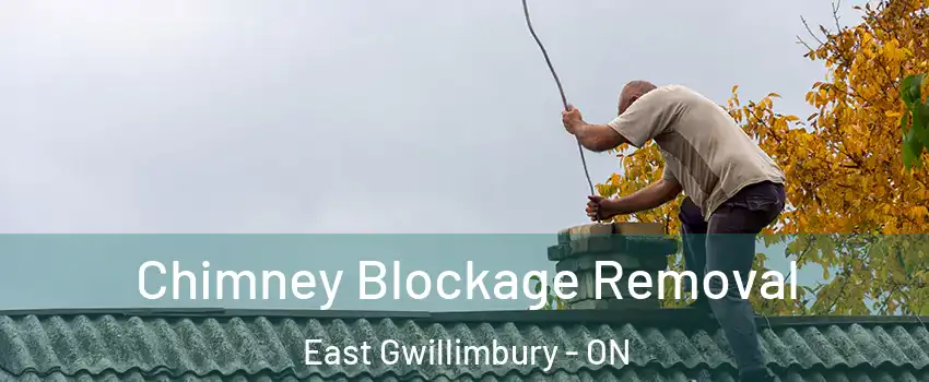  Chimney Blockage Removal East Gwillimbury - ON