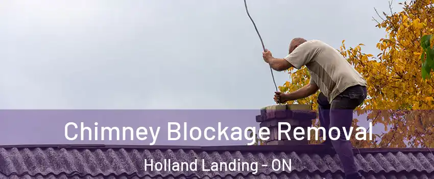  Chimney Blockage Removal Holland Landing - ON