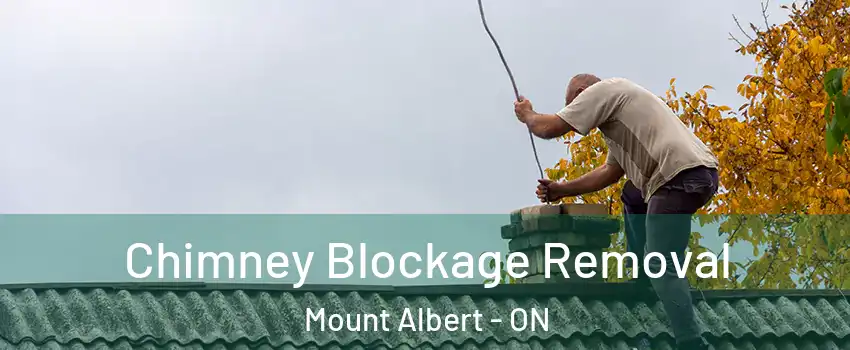  Chimney Blockage Removal Mount Albert - ON