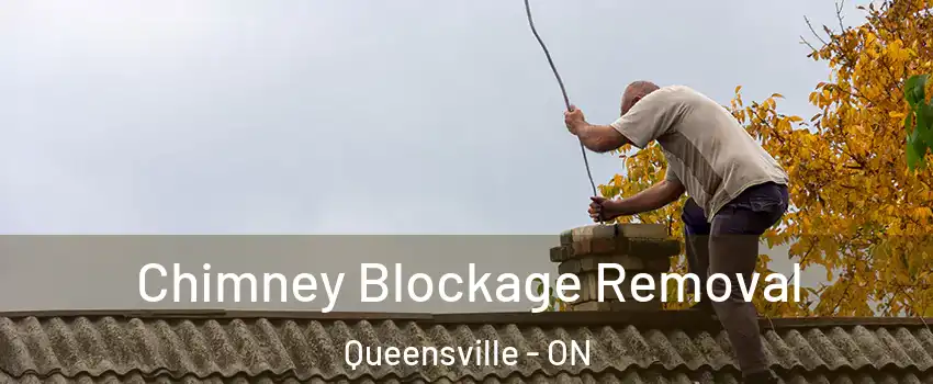  Chimney Blockage Removal Queensville - ON