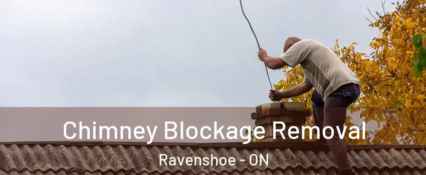  Chimney Blockage Removal Ravenshoe - ON
