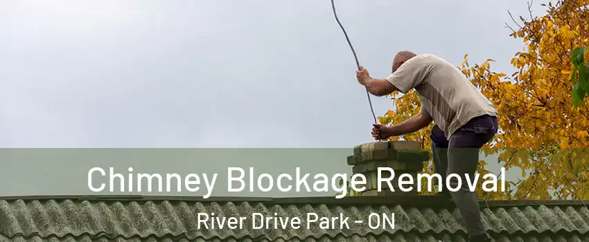  Chimney Blockage Removal River Drive Park - ON