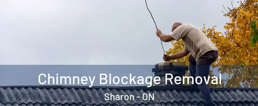  Chimney Blockage Removal Sharon - ON