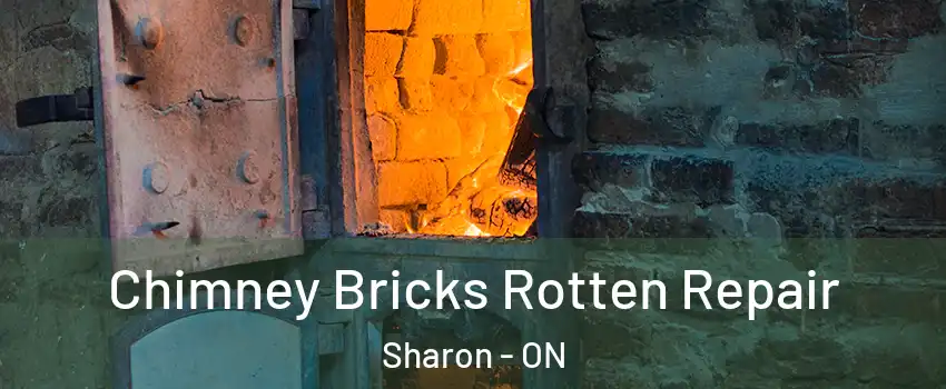  Chimney Bricks Rotten Repair Sharon - ON