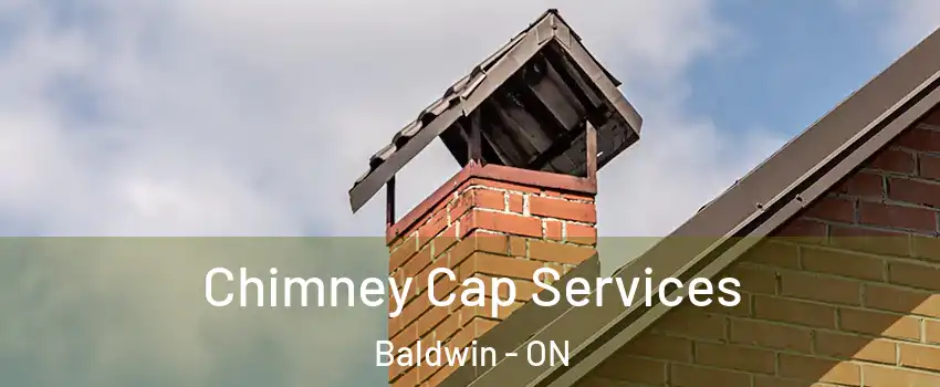  Chimney Cap Services Baldwin - ON