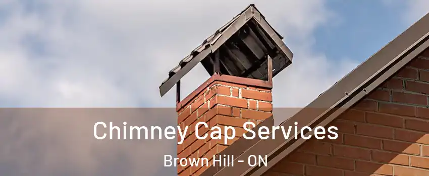  Chimney Cap Services Brown Hill - ON