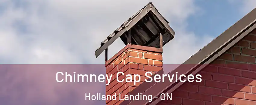  Chimney Cap Services Holland Landing - ON