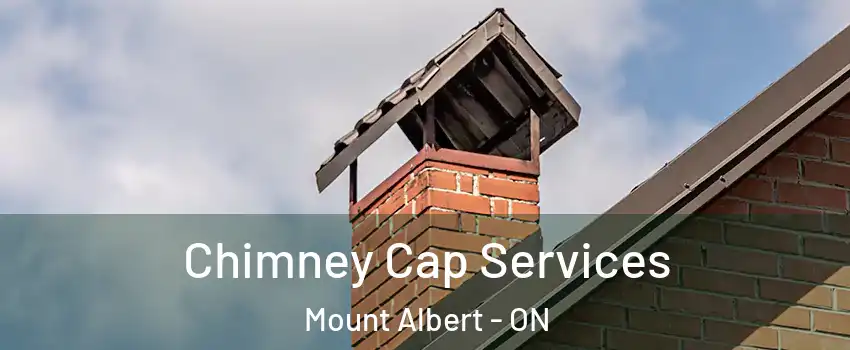  Chimney Cap Services Mount Albert - ON