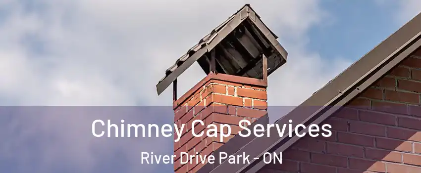  Chimney Cap Services River Drive Park - ON