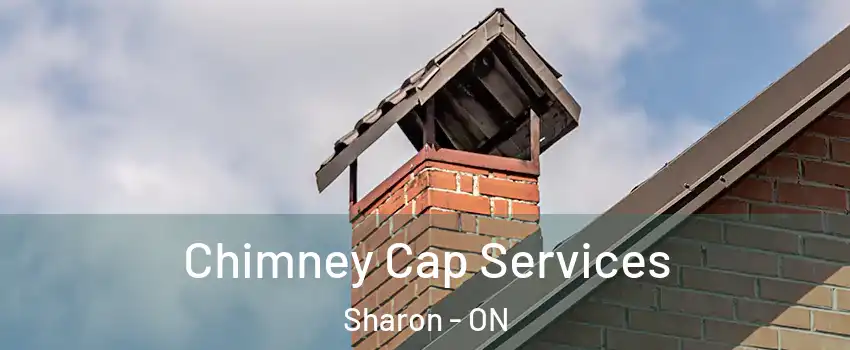  Chimney Cap Services Sharon - ON