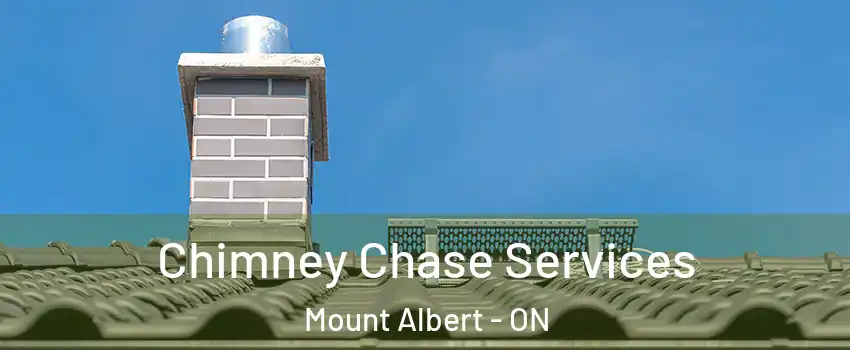  Chimney Chase Services Mount Albert - ON