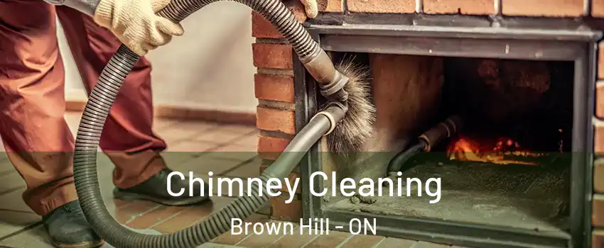  Chimney Cleaning Brown Hill - ON