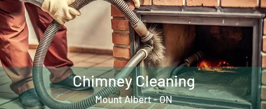  Chimney Cleaning Mount Albert - ON