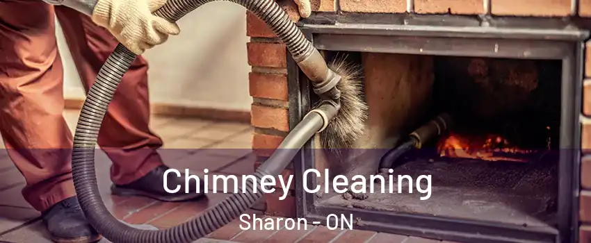  Chimney Cleaning Sharon - ON