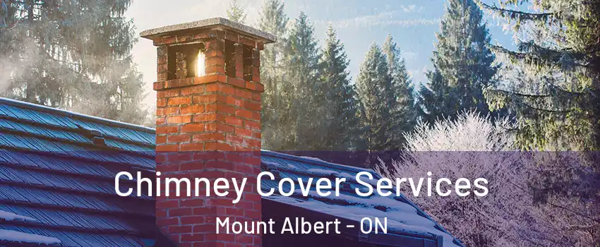  Chimney Cover Services Mount Albert - ON