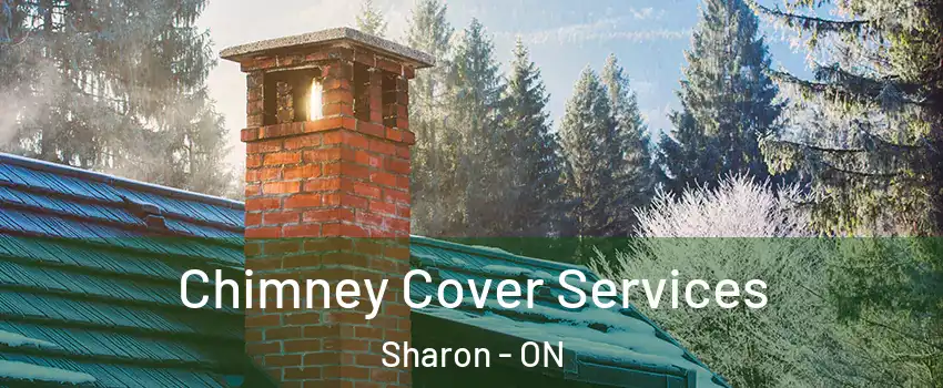  Chimney Cover Services Sharon - ON