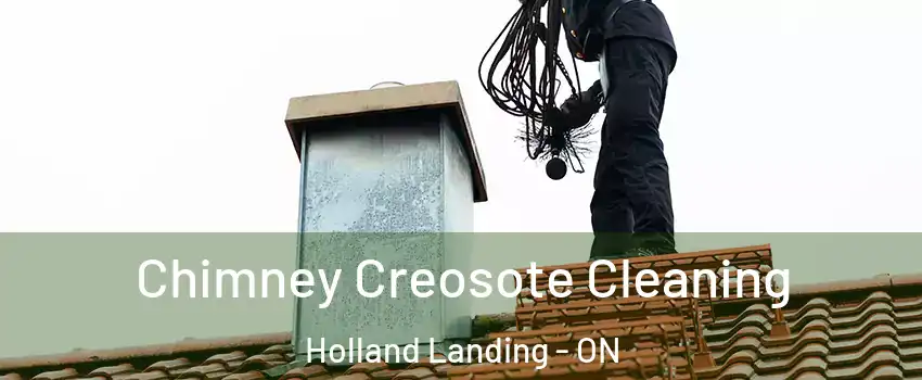 Chimney Creosote Cleaning Holland Landing - ON