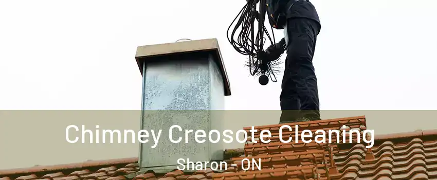  Chimney Creosote Cleaning Sharon - ON