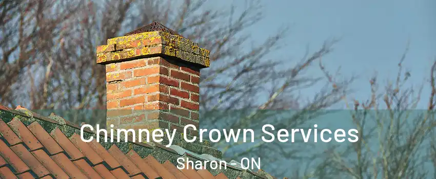  Chimney Crown Services Sharon - ON
