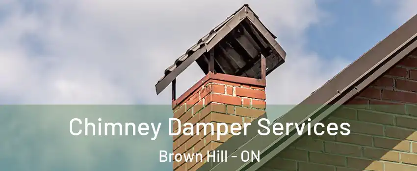  Chimney Damper Services Brown Hill - ON