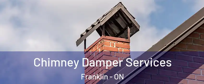  Chimney Damper Services Franklin - ON
