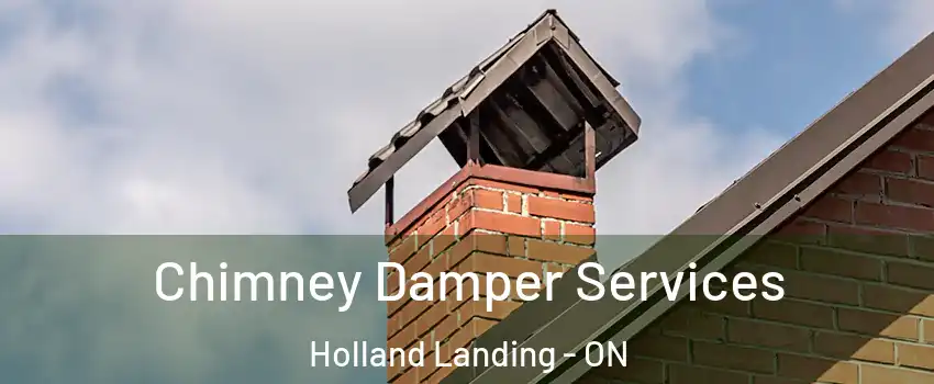  Chimney Damper Services Holland Landing - ON