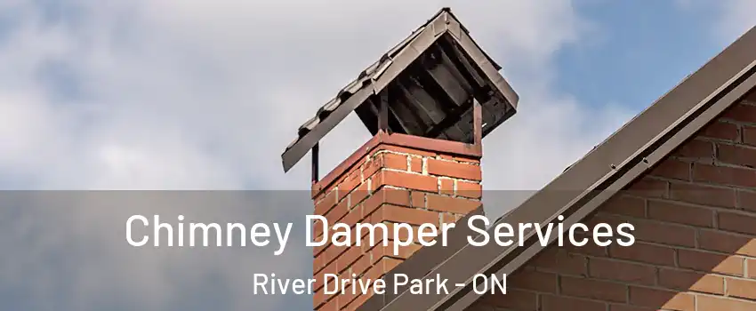  Chimney Damper Services River Drive Park - ON