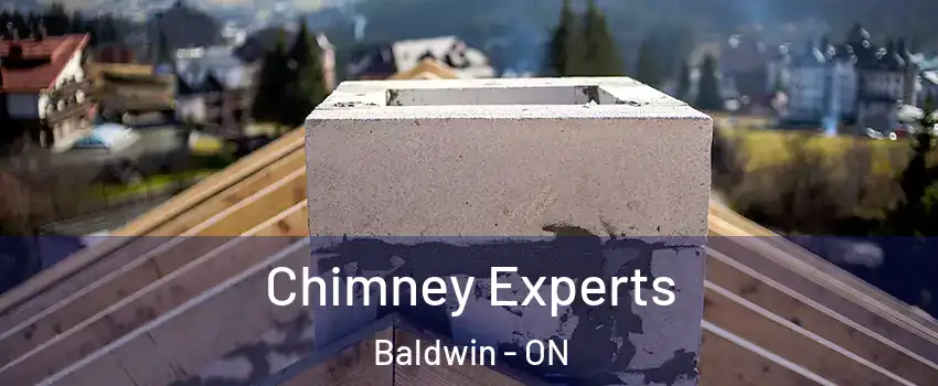 Chimney Experts Baldwin - ON