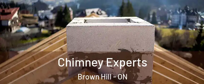 Chimney Experts Brown Hill - ON