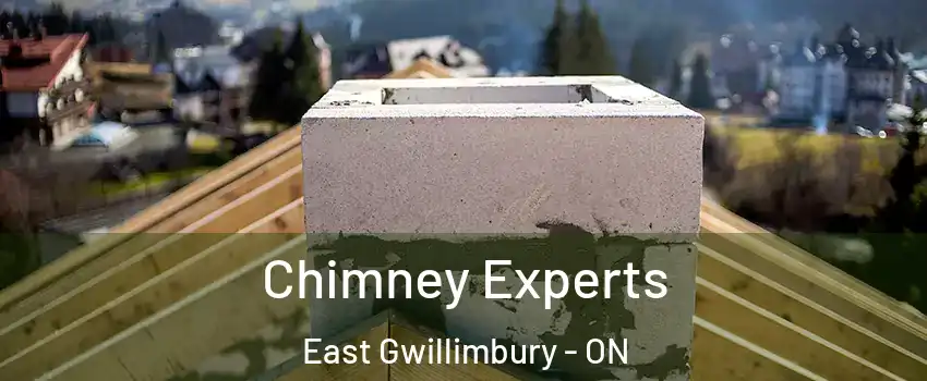 Chimney Experts East Gwillimbury - ON